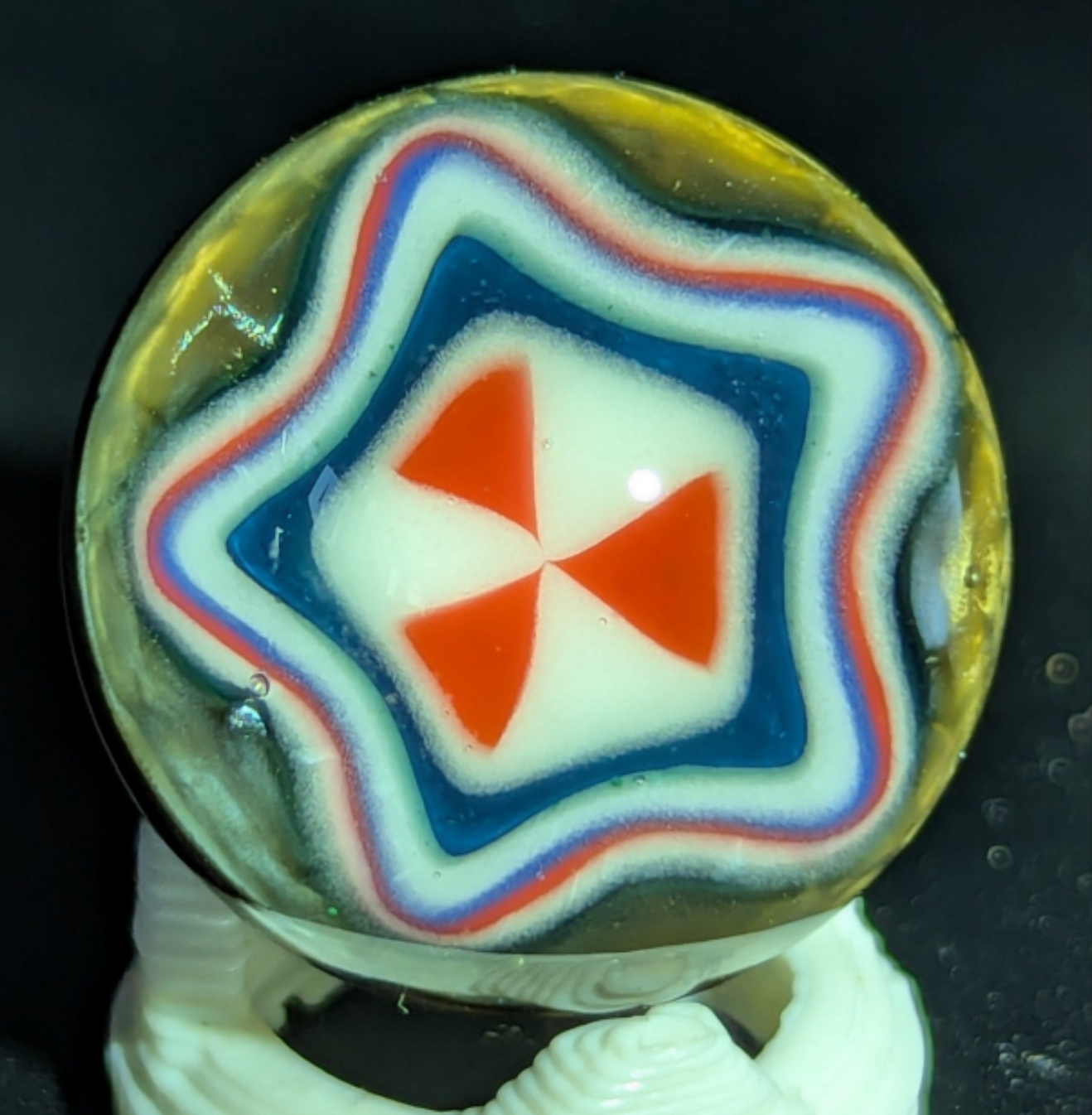 Small burtoni mushroom collab