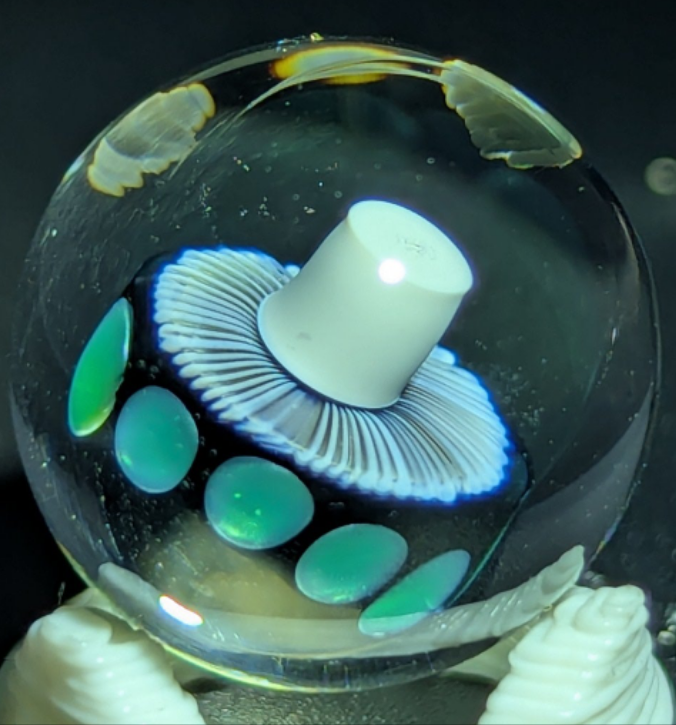 Moo glass mushroom