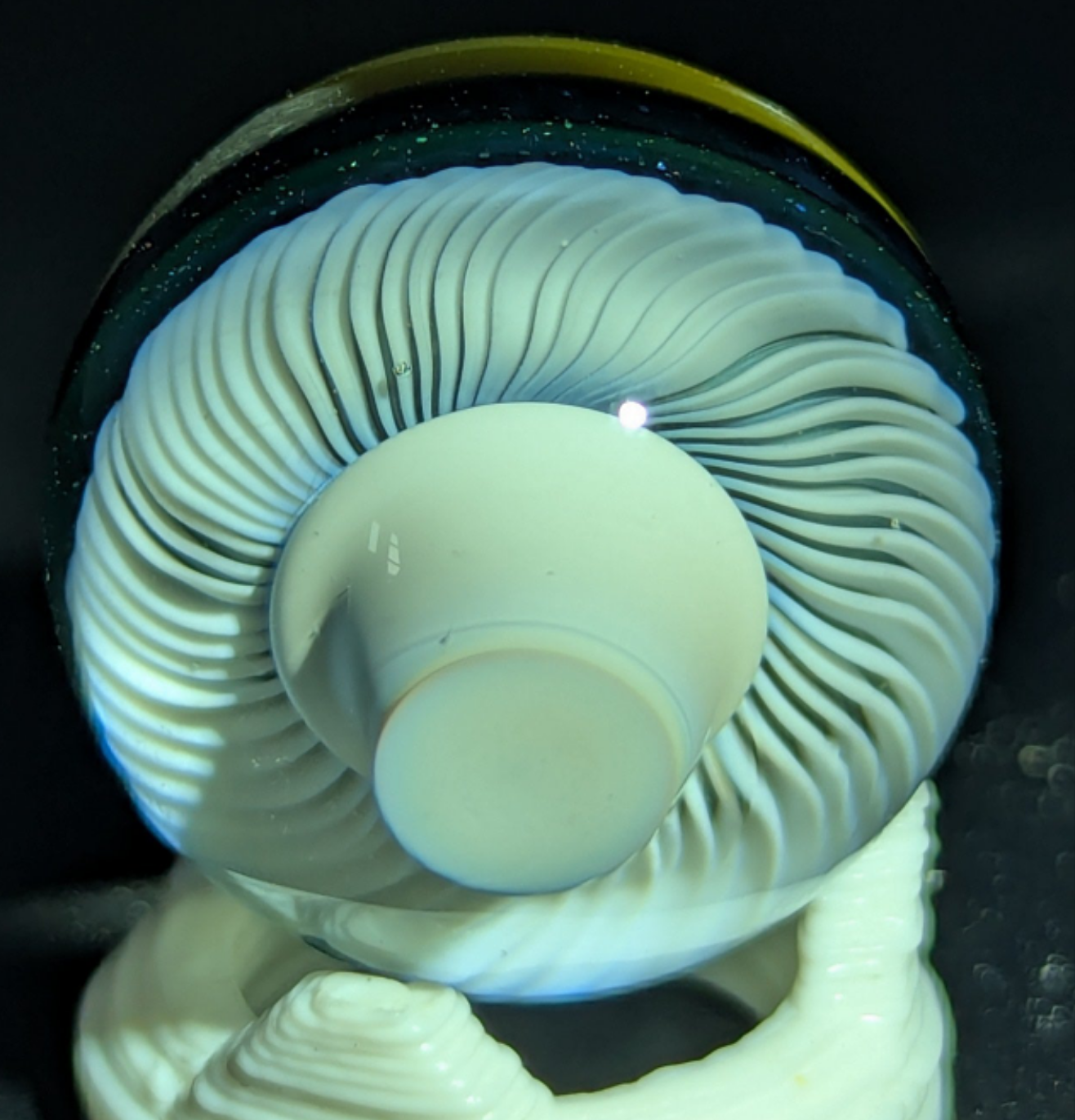 Burtoni mushroom marble collab