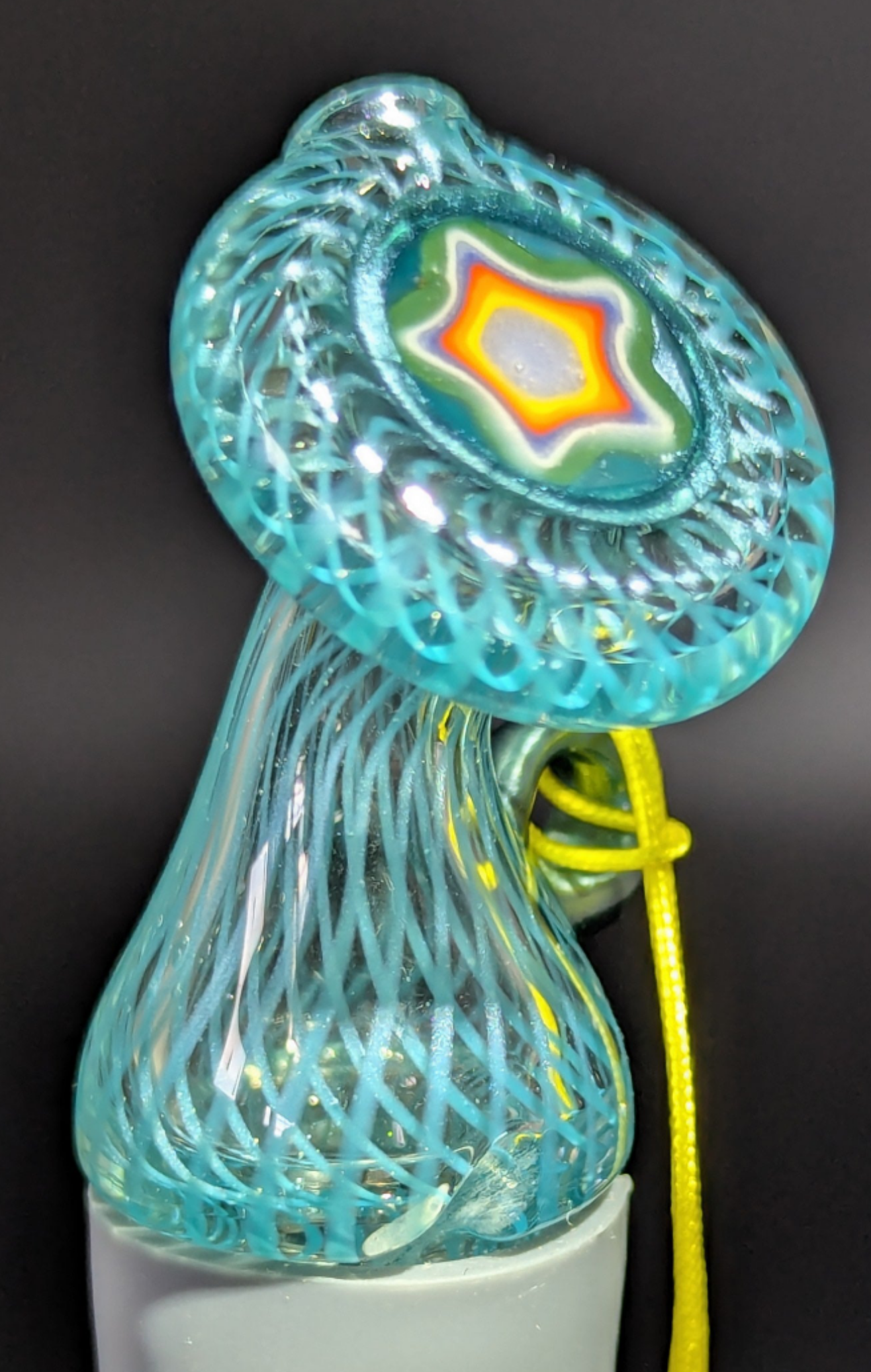 Burtoni disc tip collab
