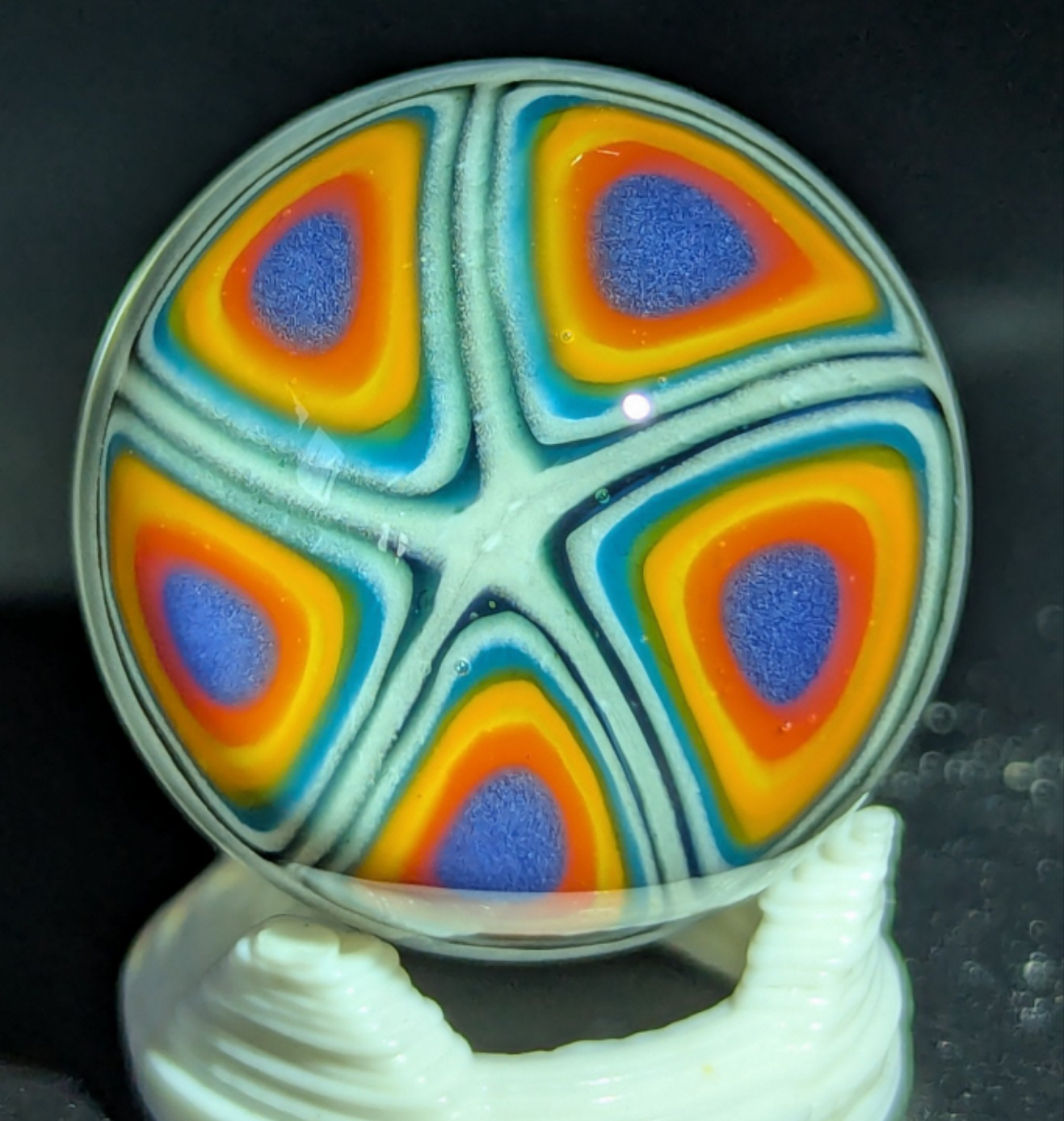 Small burtoni mushroom collab