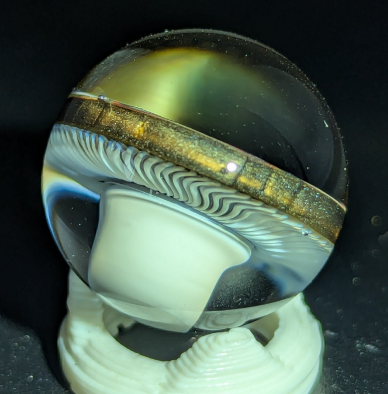 Small burtoni mushroom collab
