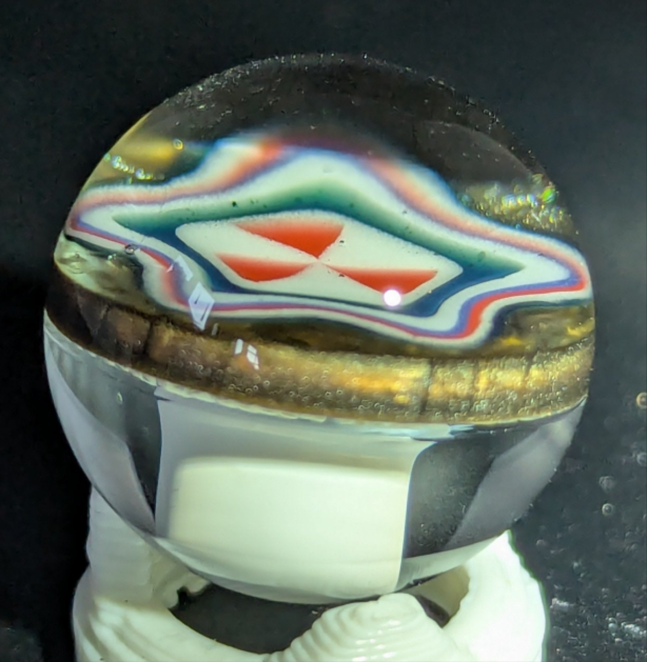Small burtoni mushroom collab