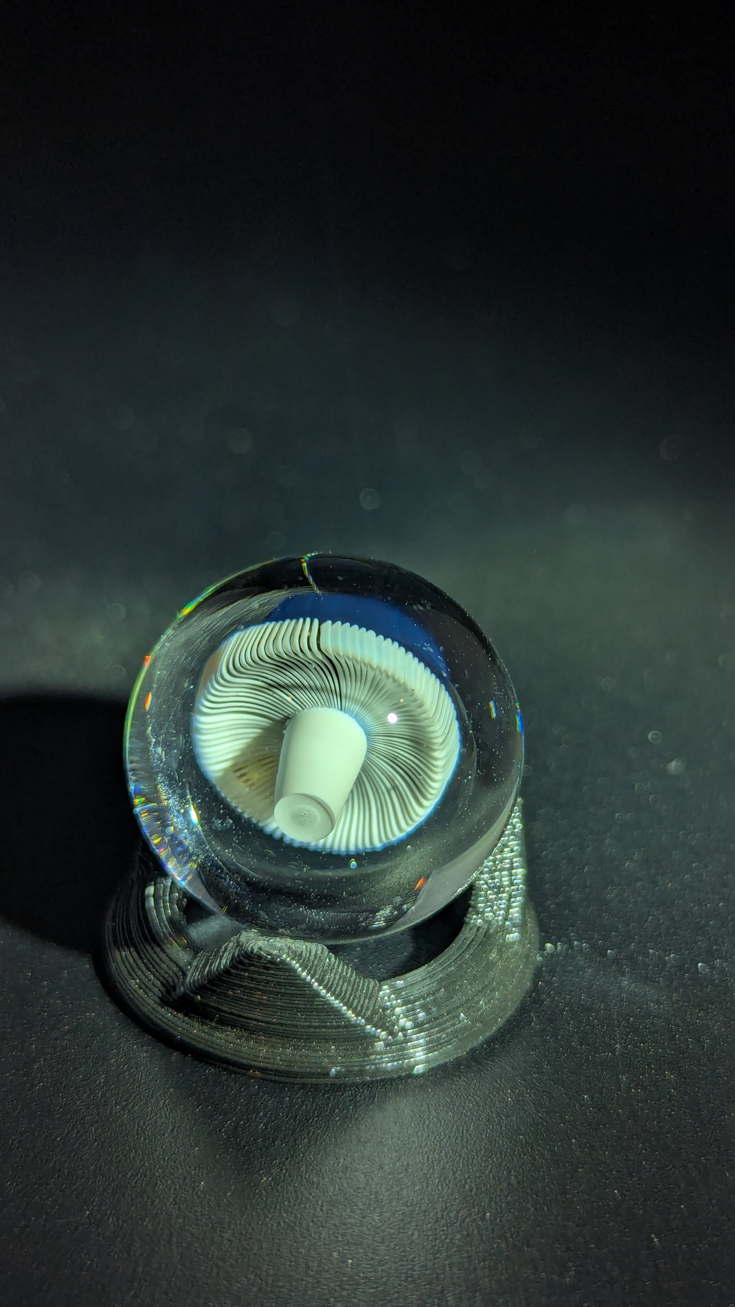 Small AKM mushroom marble collab