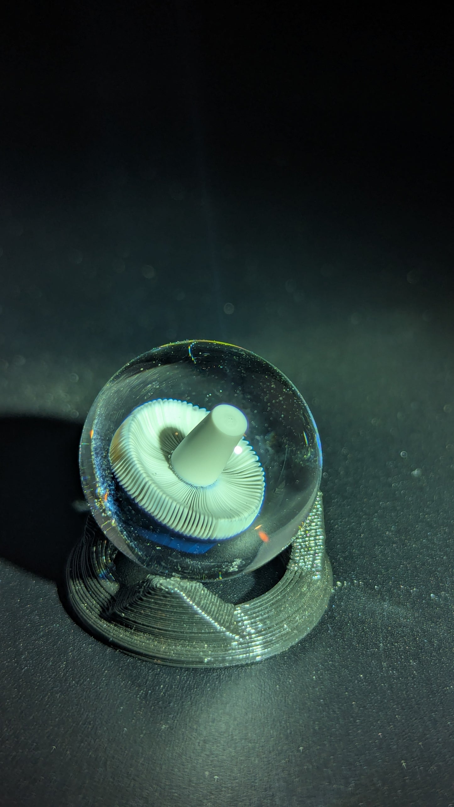 Small AKM mushroom marble collab